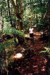 Chambers Border walk