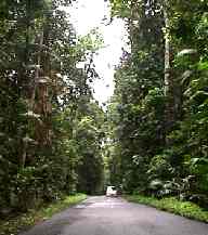 Scenic Drive, Atherton Tableland, Queensland